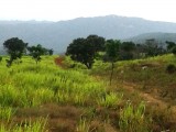 Mont Royal Estate, Kingston / St. Andrew, Jamaica - Residential lot for Sale